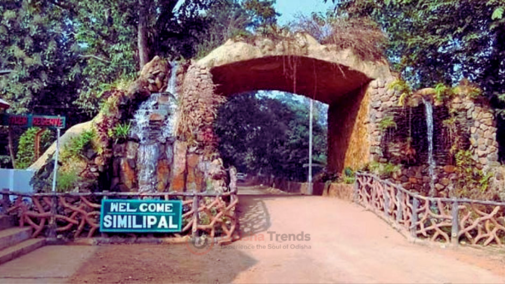 New Rule for Visiting Similipal Tiger Reserve Starting February 1, 2025