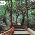 Saptasajya Nature Camp