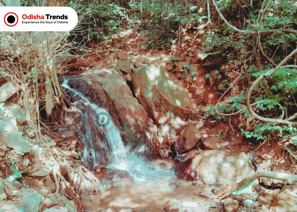 Saptasajya Nature Camp