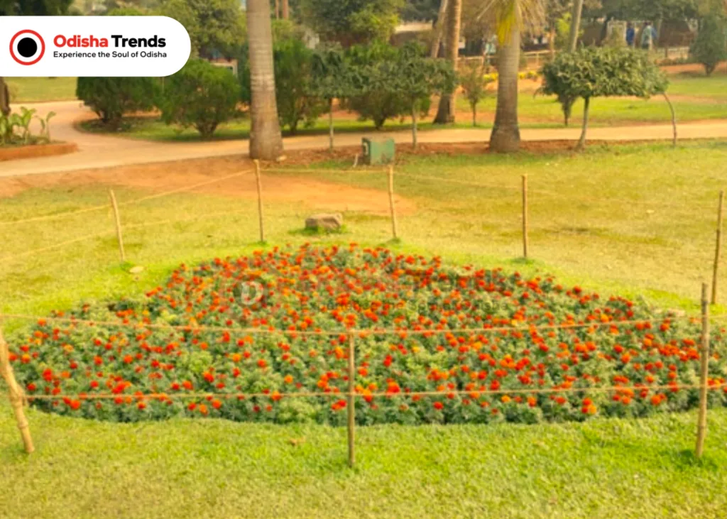 Forest Park, Bhubaneswar